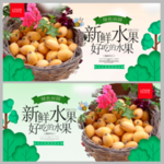 枇杷