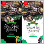 鲍鱼