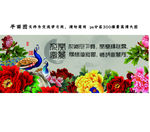 花开富贵牡丹高清源文件图片
