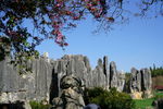 云南石林 风景