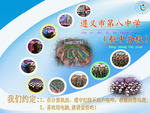 遵义市第八中学电脑桌面背景