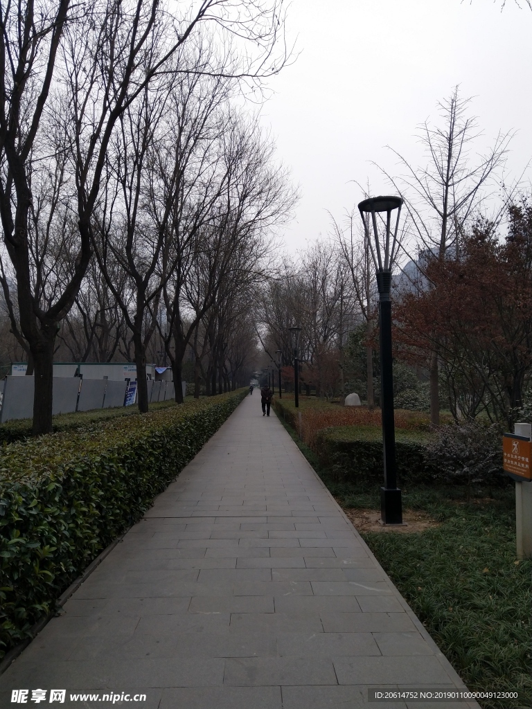日暮下的公园风景