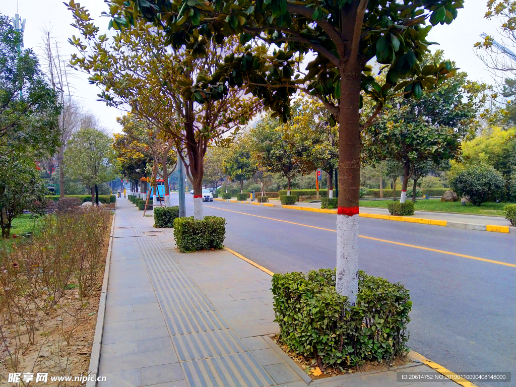 城市道路风景