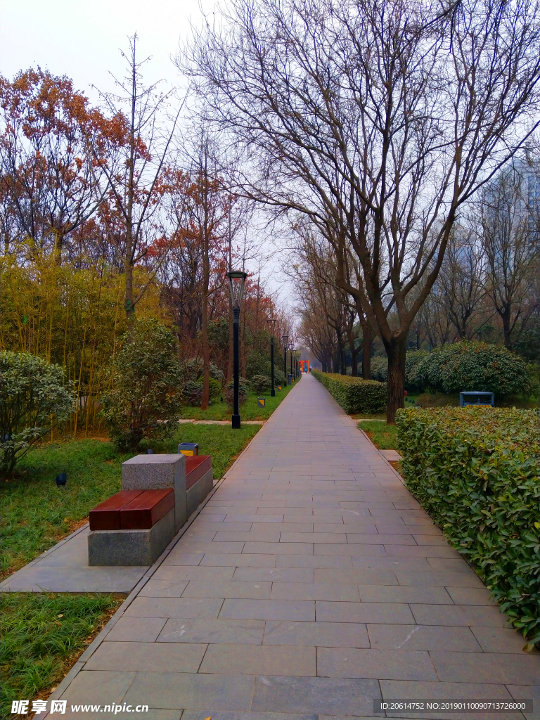 日暮下的公园风景