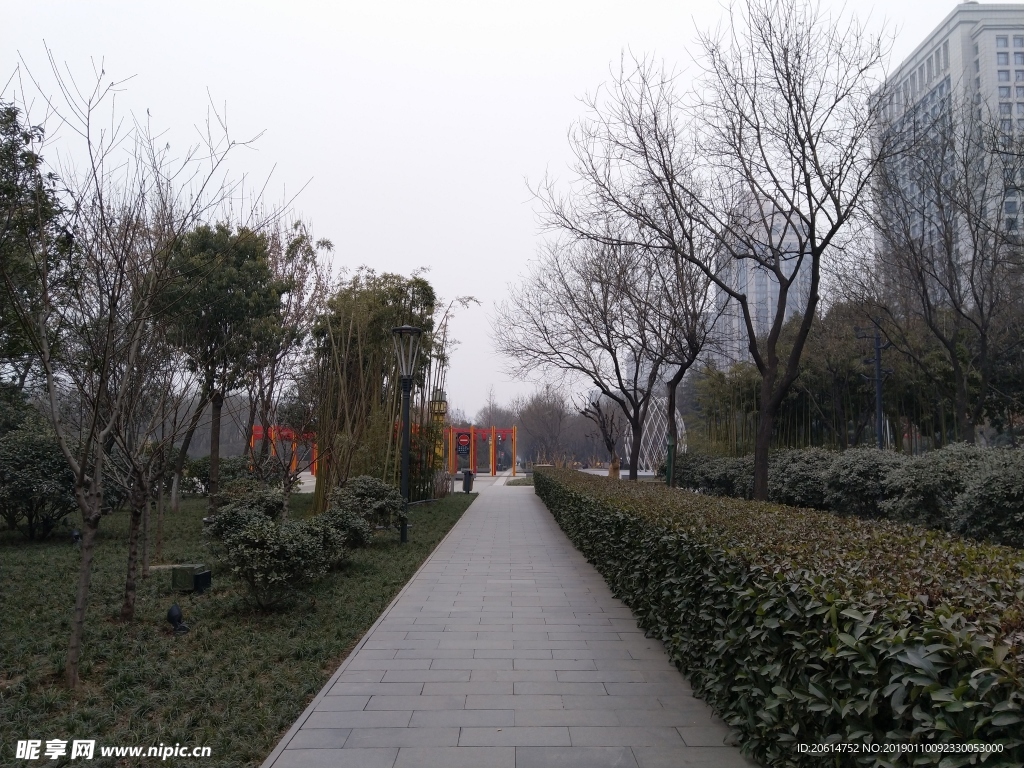日暮下的公园风景