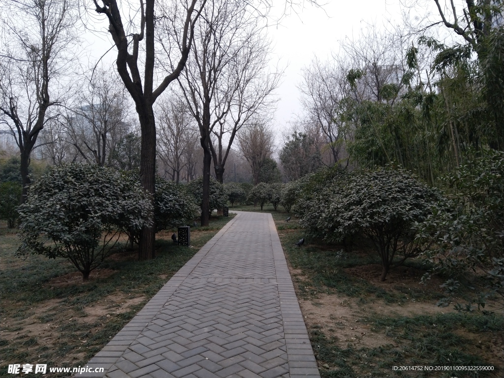 日暮下的公园风景