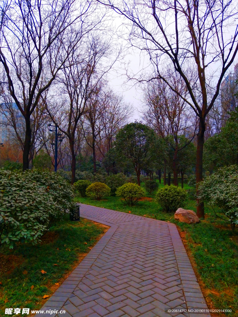 日暮下的公园风景