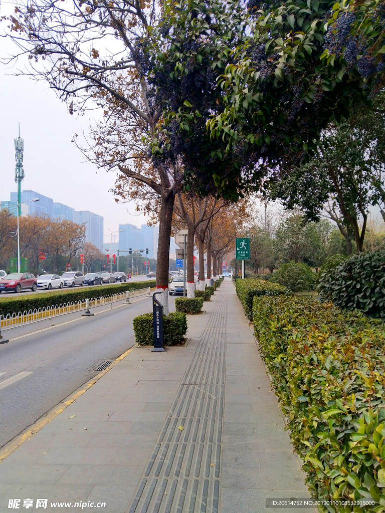 城市道路风景