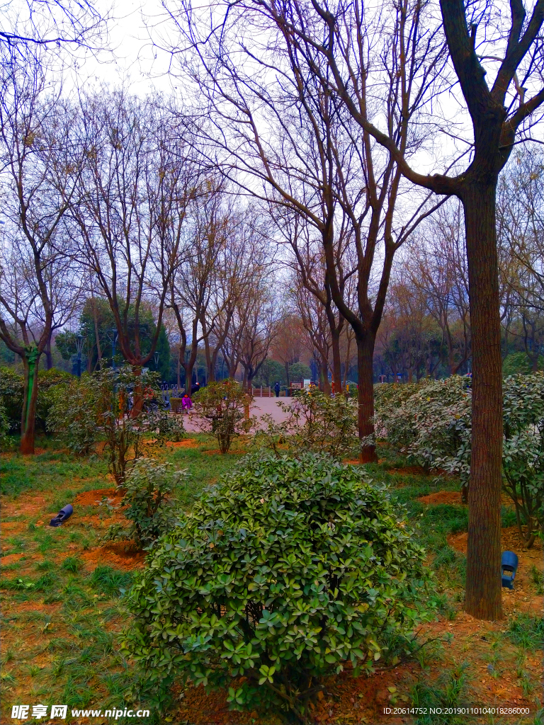 美丽的公园风景
