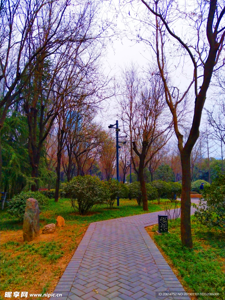 美丽的公园风景