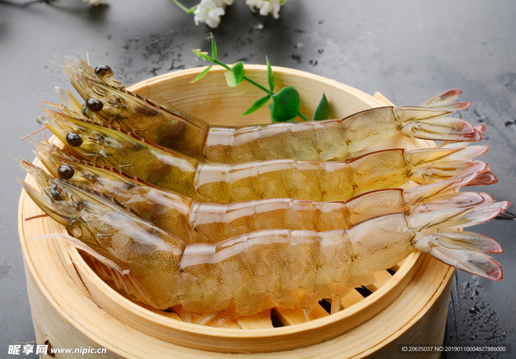 新鲜海捕大虾摄影