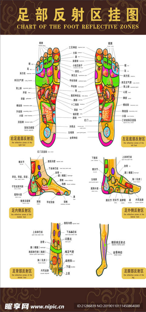足部反射图海报