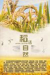 稻发自然