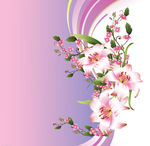 百合花