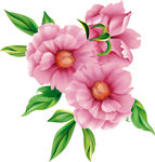 手绘花