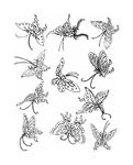 蝴蝶花纹