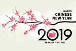 2019猪年快乐