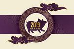 2019猪年快乐