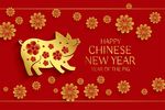 2019猪年