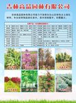 企业简介