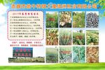 企业简介