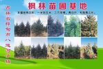 企业简介