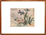 恽寿平花卉