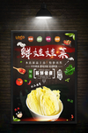 娃娃菜