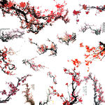 花卉 水墨梅花
