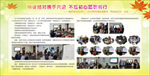 秋季黄叶树叶活动展板