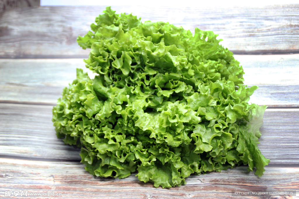生菜
