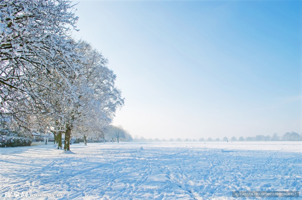 雪景