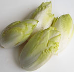 有机玉兰菜
