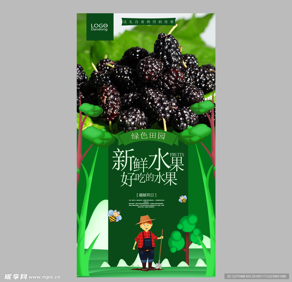 桑葚