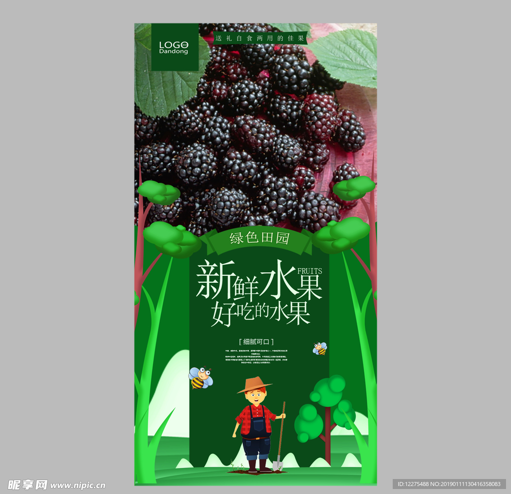 桑葚