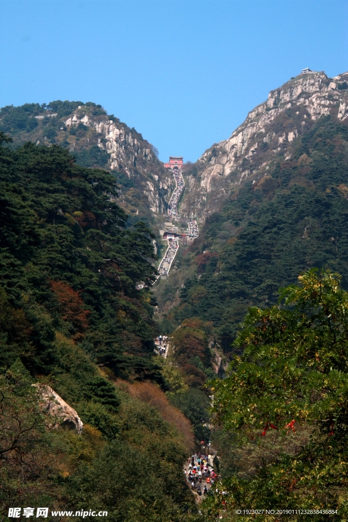 泰山