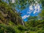 草地 山川 地形 景色 植物