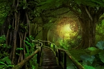 草地 山川 地形 景色 植物