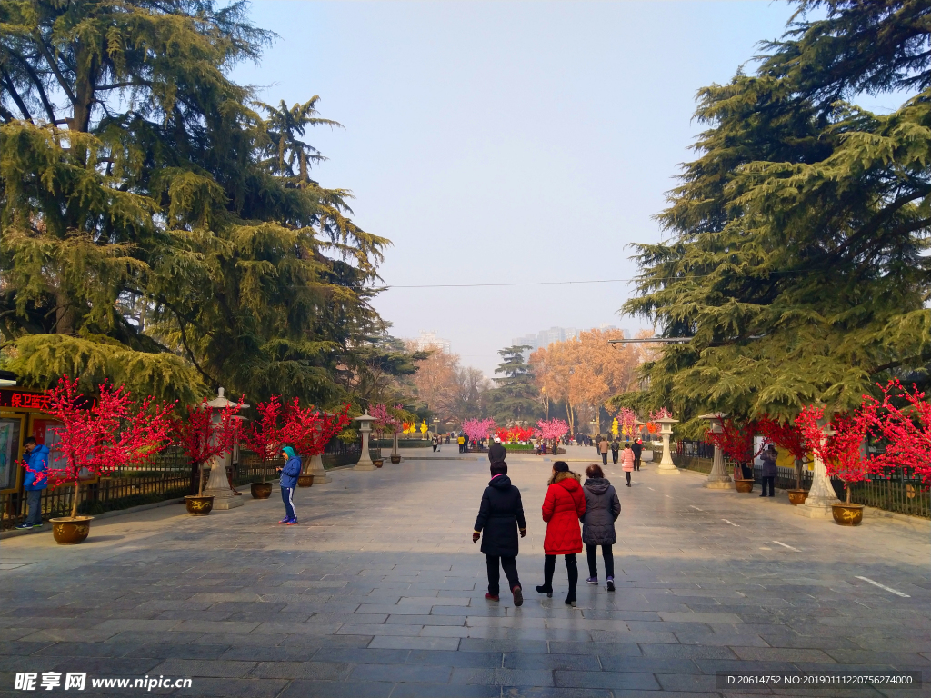 美丽的公园风景