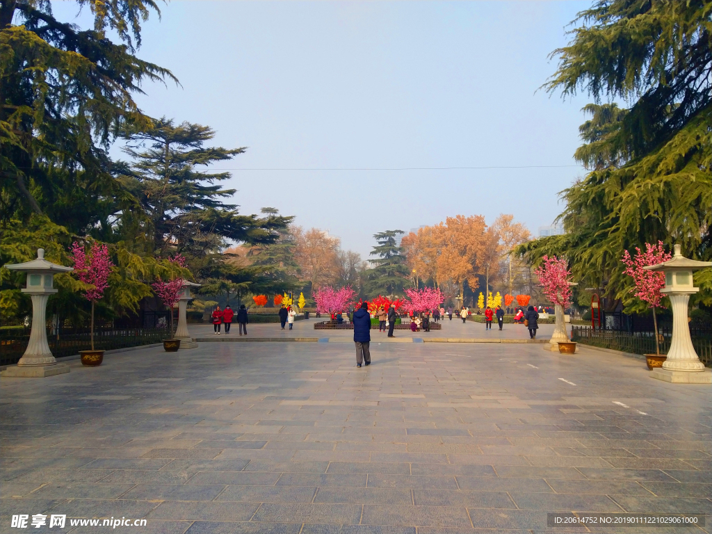 美丽的公园风景