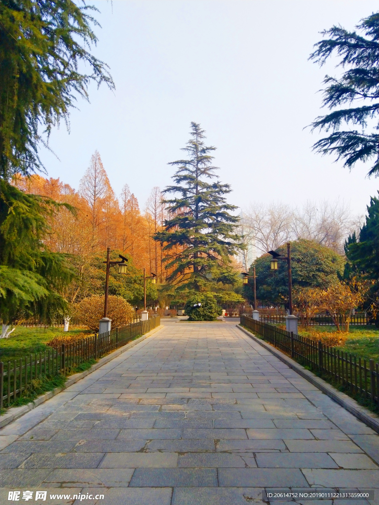 美丽的公园风景