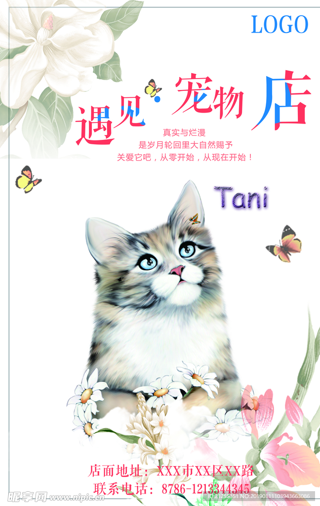 宠物海报