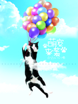 宠物海报
