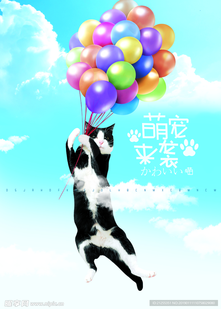 宠物海报