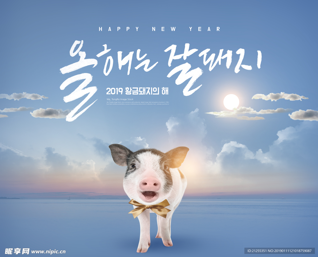 2019猪年