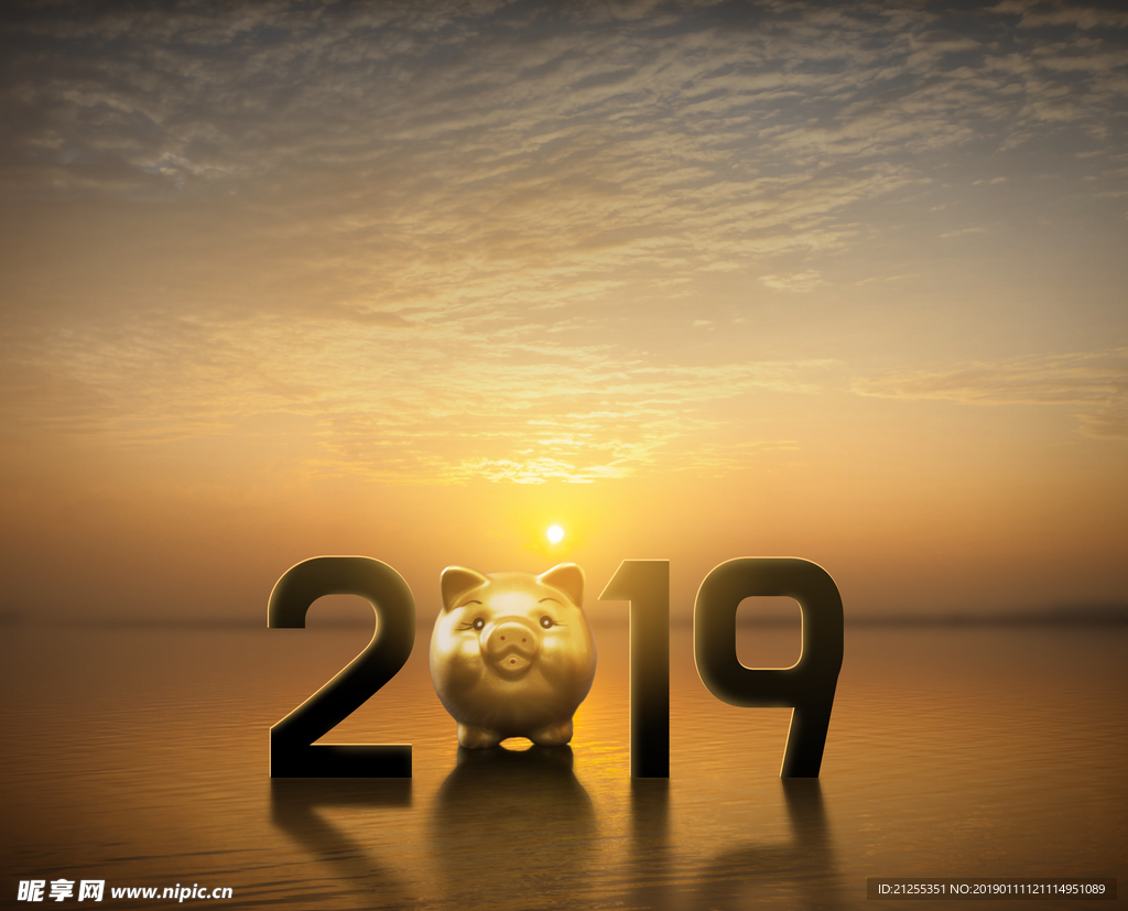 2019猪年