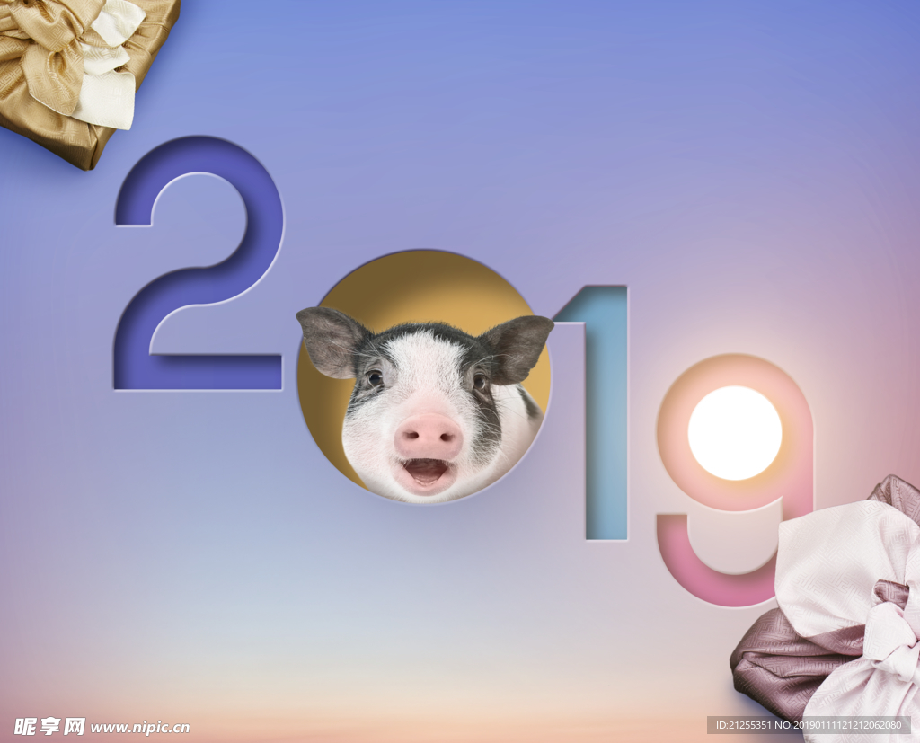 2019猪年