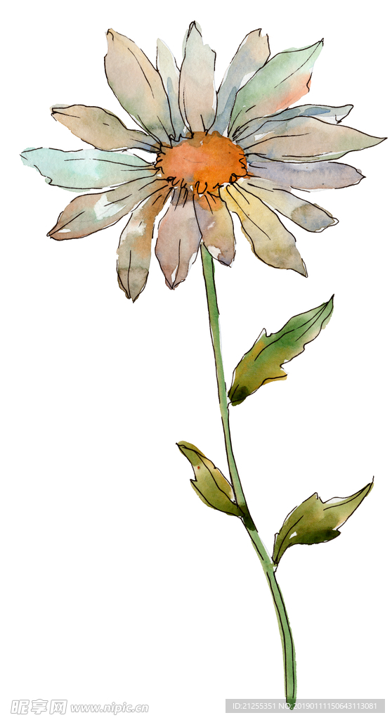 花纹装饰