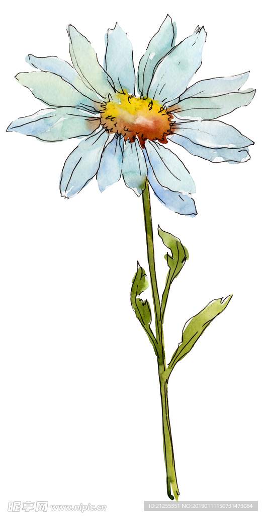 花纹装饰