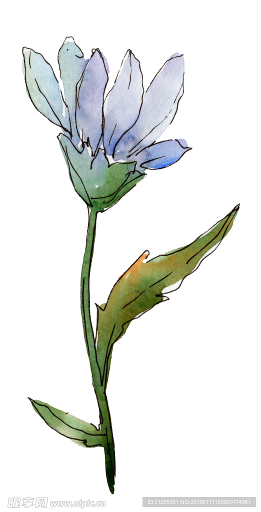花纹装饰